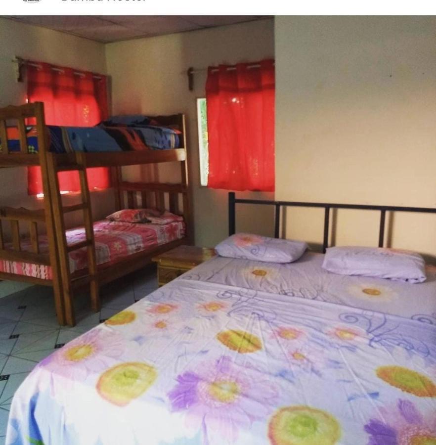 Bambu Hostel David Dış mekan fotoğraf