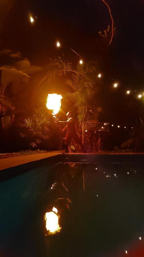 Bambu Hostel David Dış mekan fotoğraf