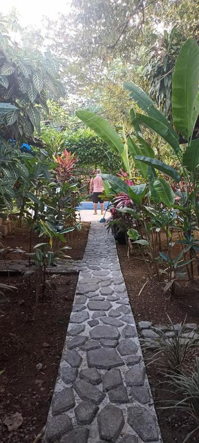Bambu Hostel David Dış mekan fotoğraf