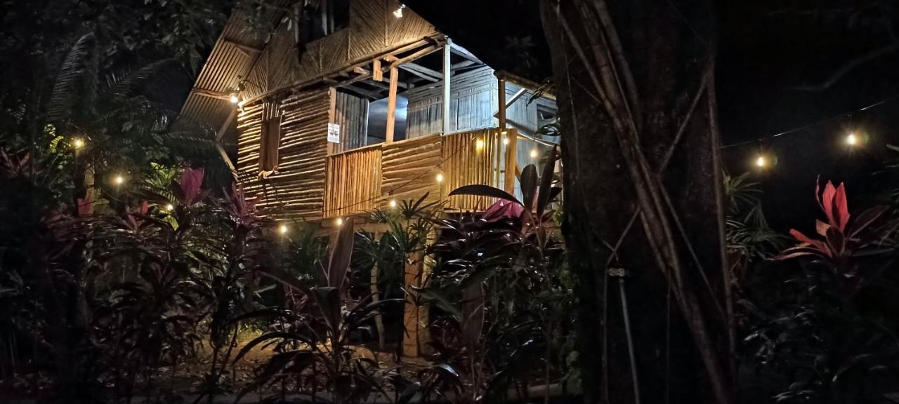 Bambu Hostel David Dış mekan fotoğraf