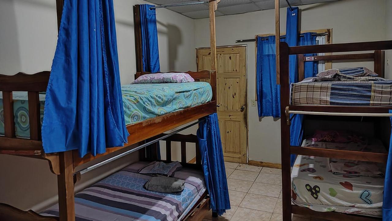 Bambu Hostel David Dış mekan fotoğraf