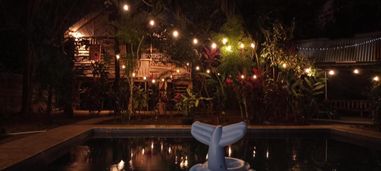 Bambu Hostel David Dış mekan fotoğraf