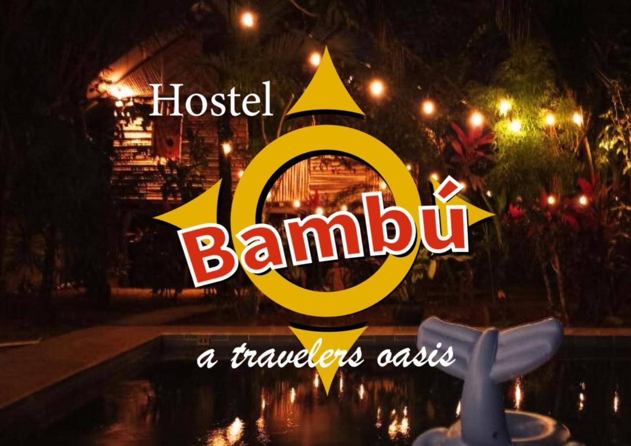 Bambu Hostel David Dış mekan fotoğraf